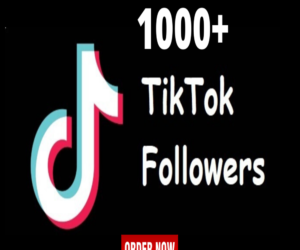 TikTok Followers