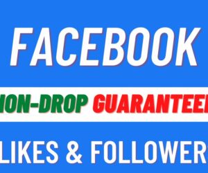 purchase facebook followers and likes