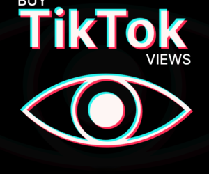 purchase tiktok ads views for monetization